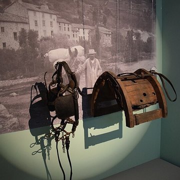 Ancien évêché, actuellement mairie et musée