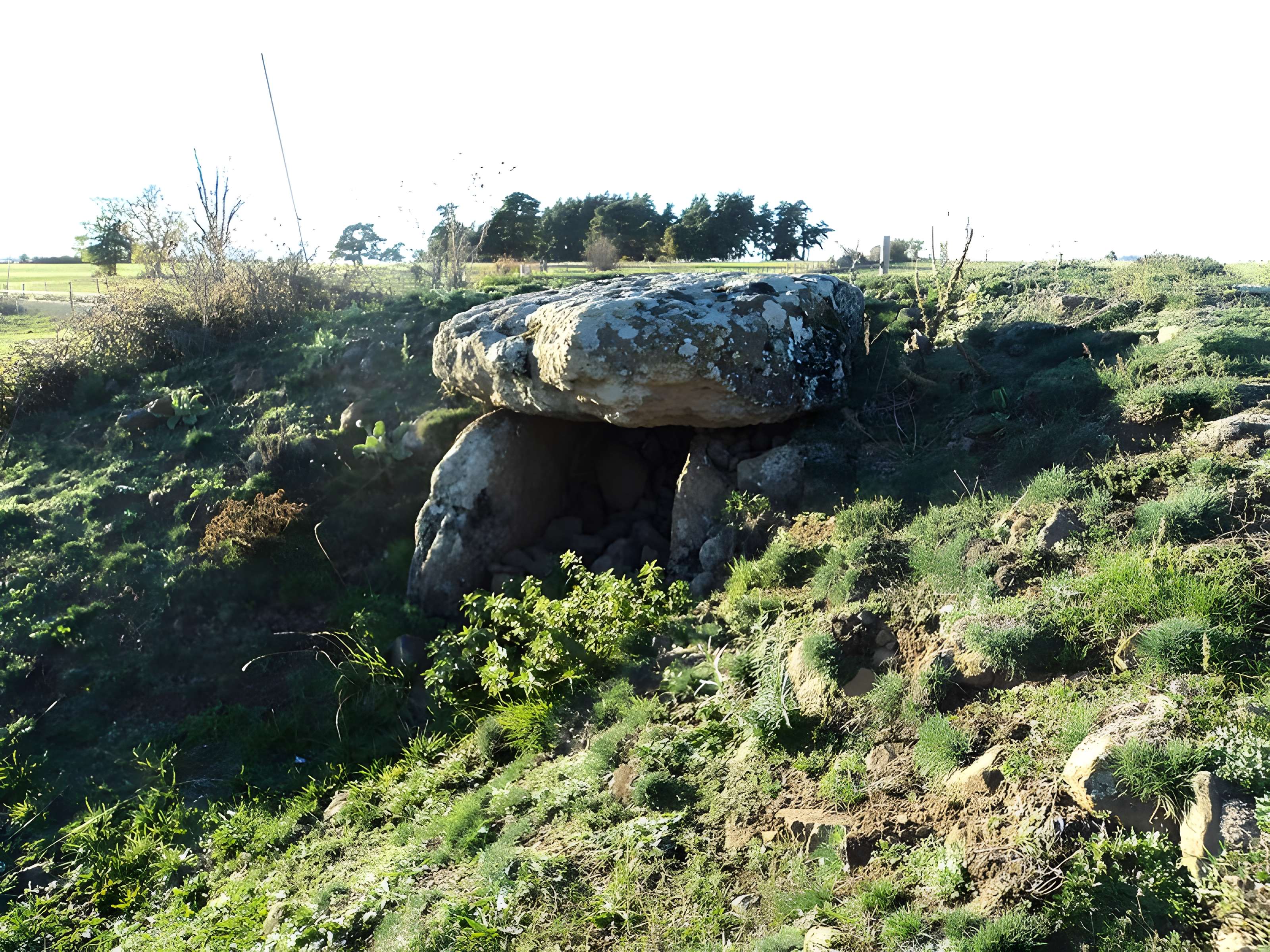 Dolmen du Chausse