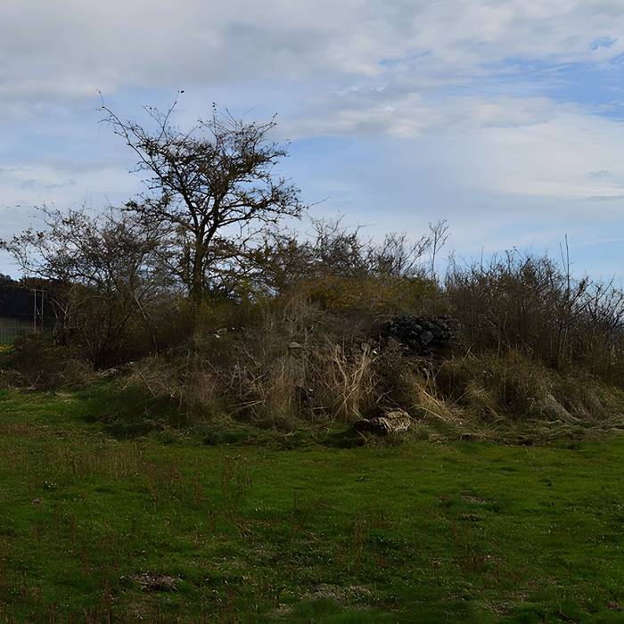 Photo de Tumuli de La Chau