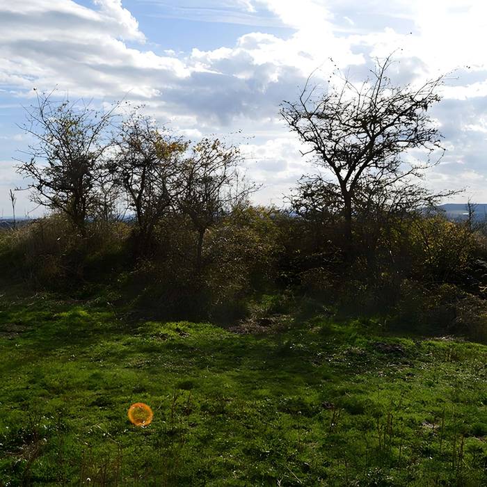 Photo de Tumuli de La Chau