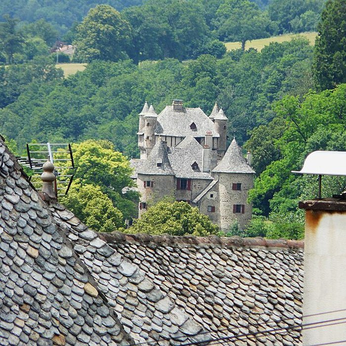 Photo de Château de Veyrières