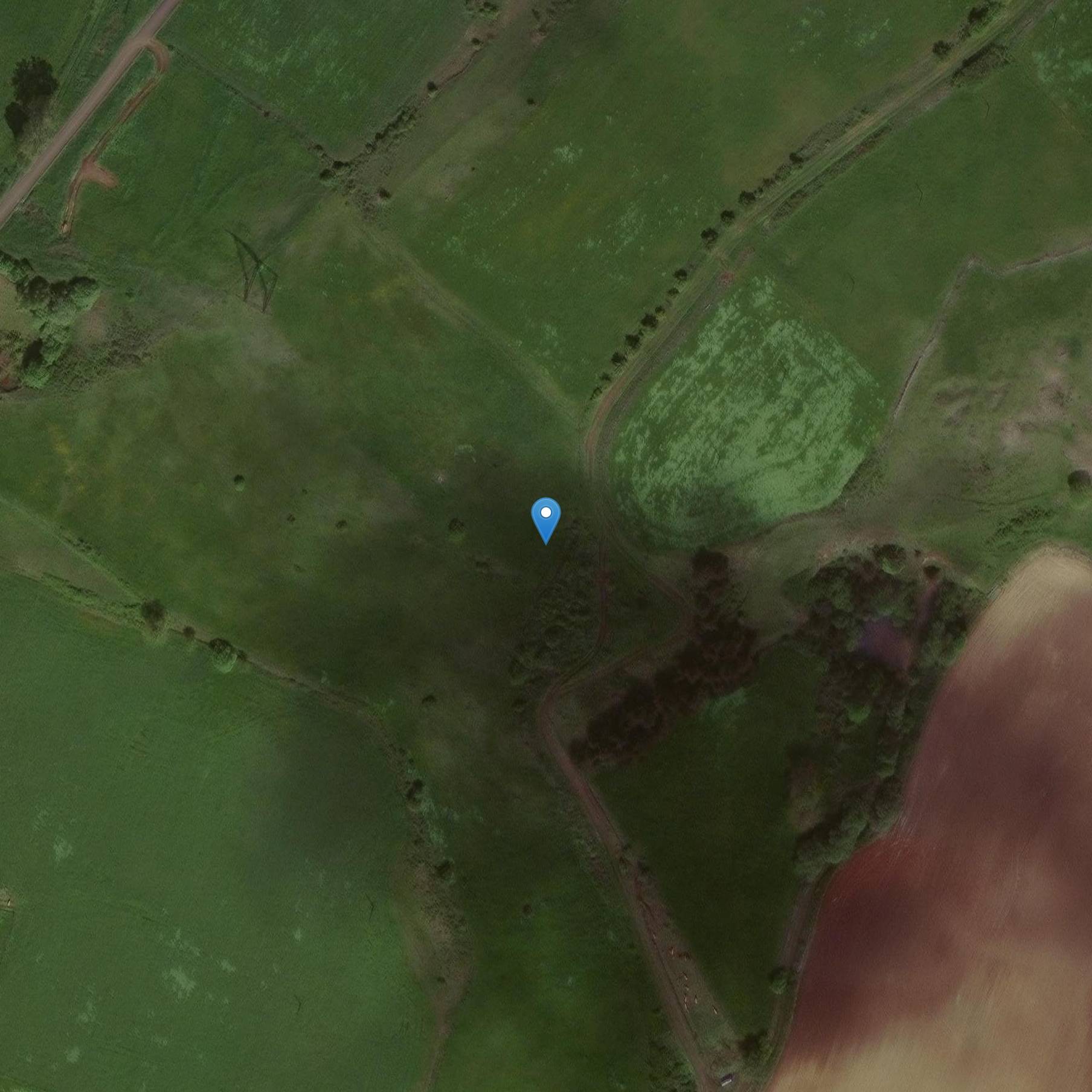 Photo de Menhir phallique dit Pierre Plantade