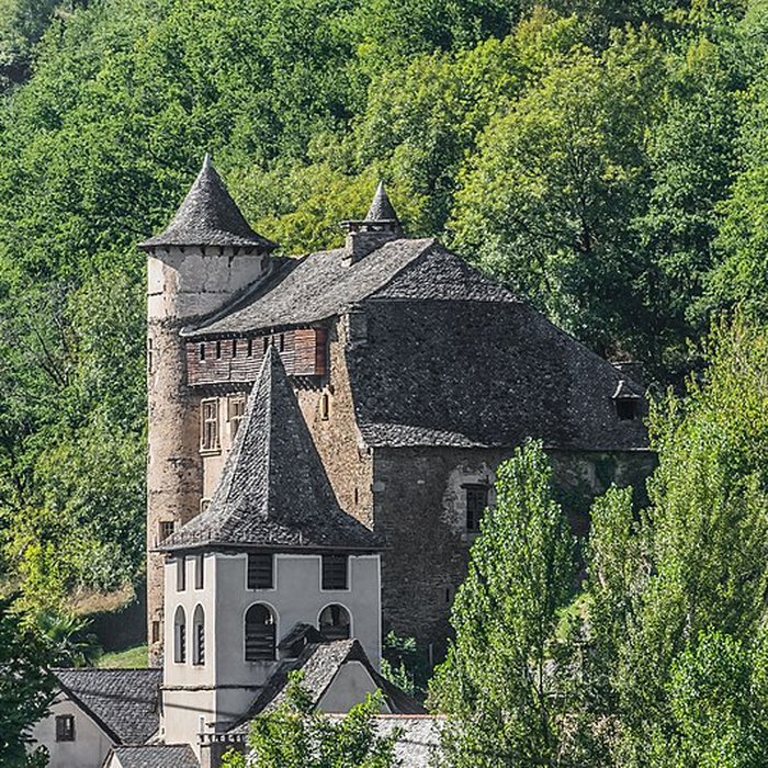 Photo de Château fort de Vieillevie