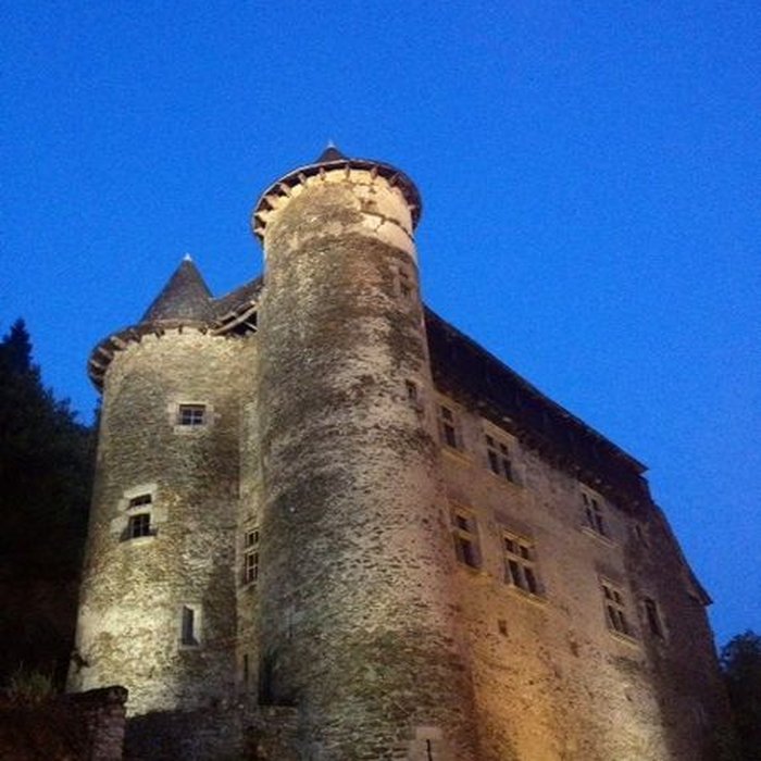 Photo de Château fort de Vieillevie