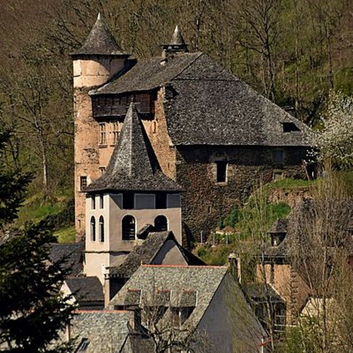 Photo de Château fort de Vieillevie