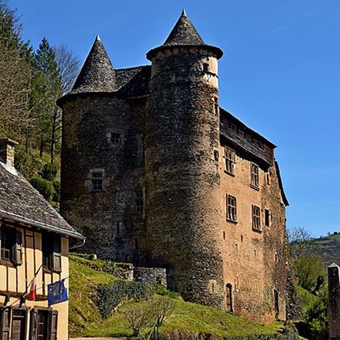 Photo de Château fort de Vieillevie