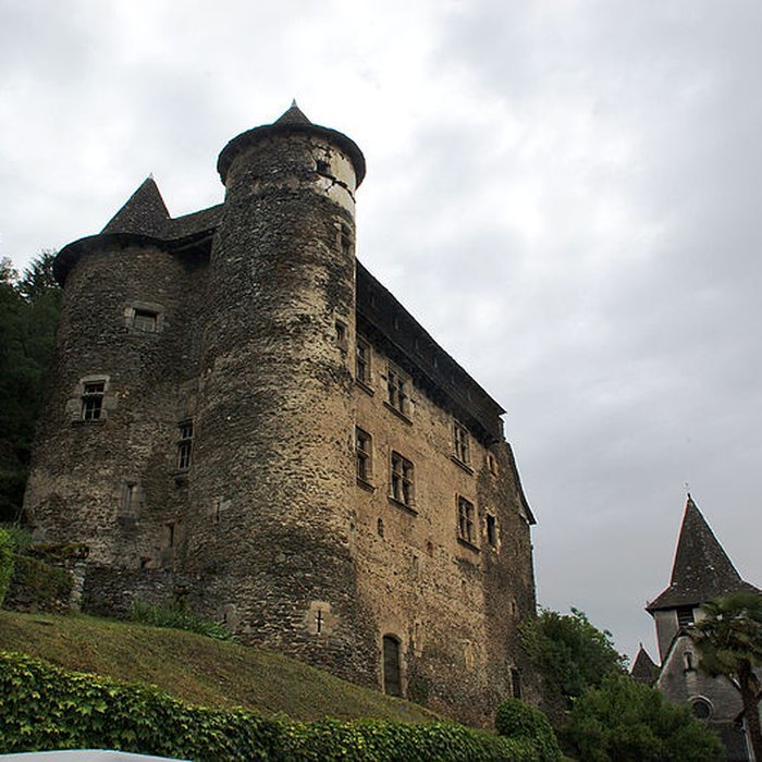 Photo de Château fort de Vieillevie