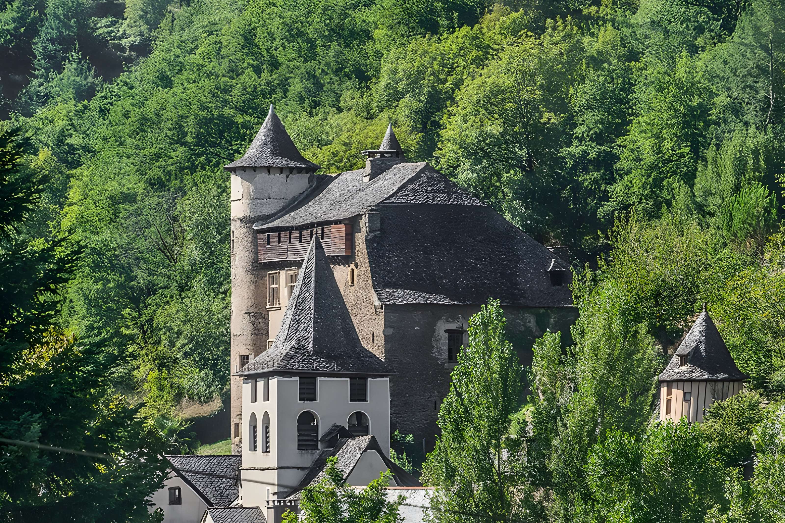 Château fort de Vieillevie