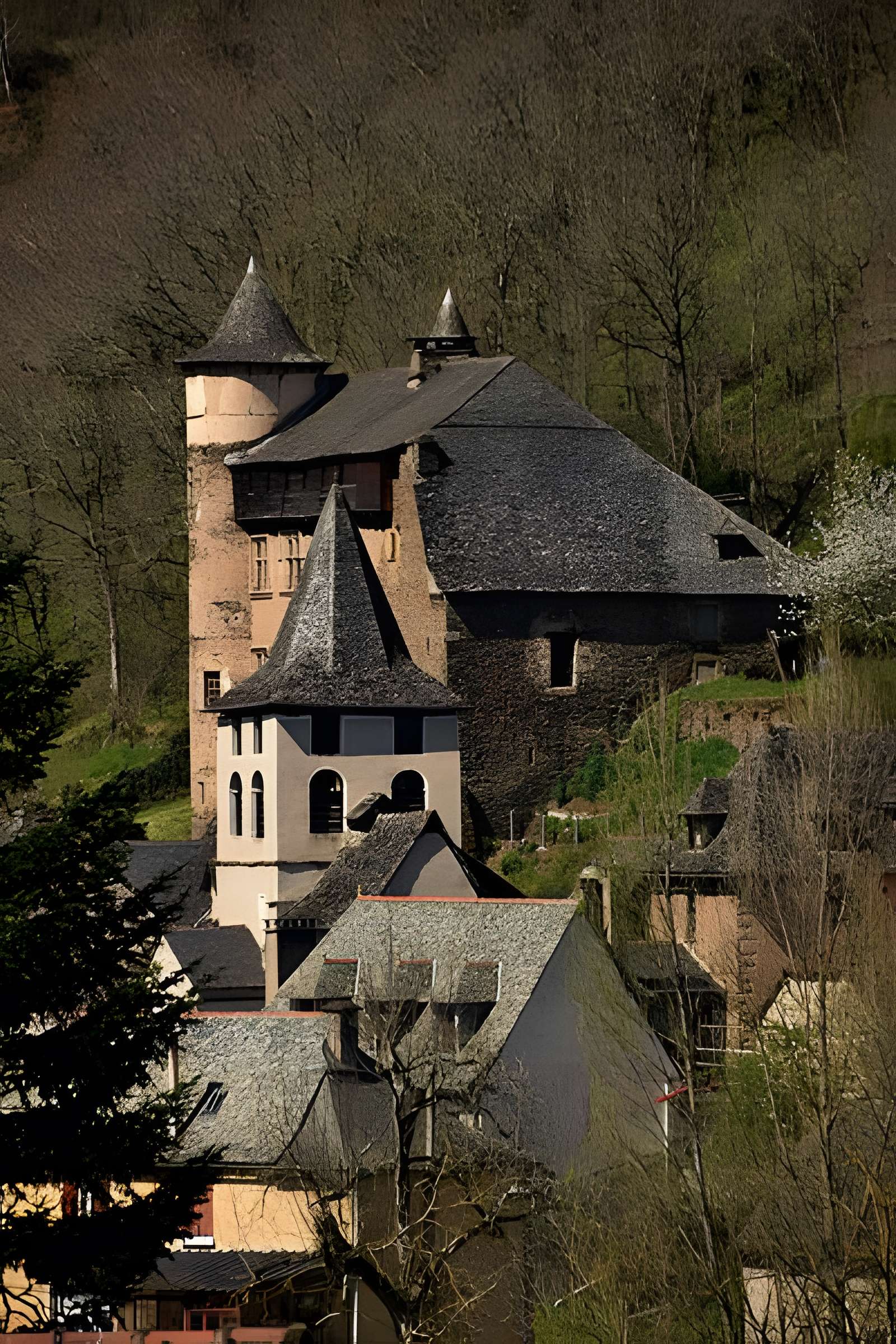 Château fort de Vieillevie