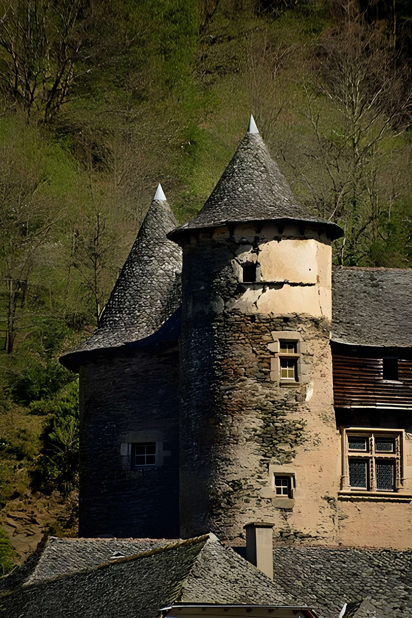 Château fort de Vieillevie