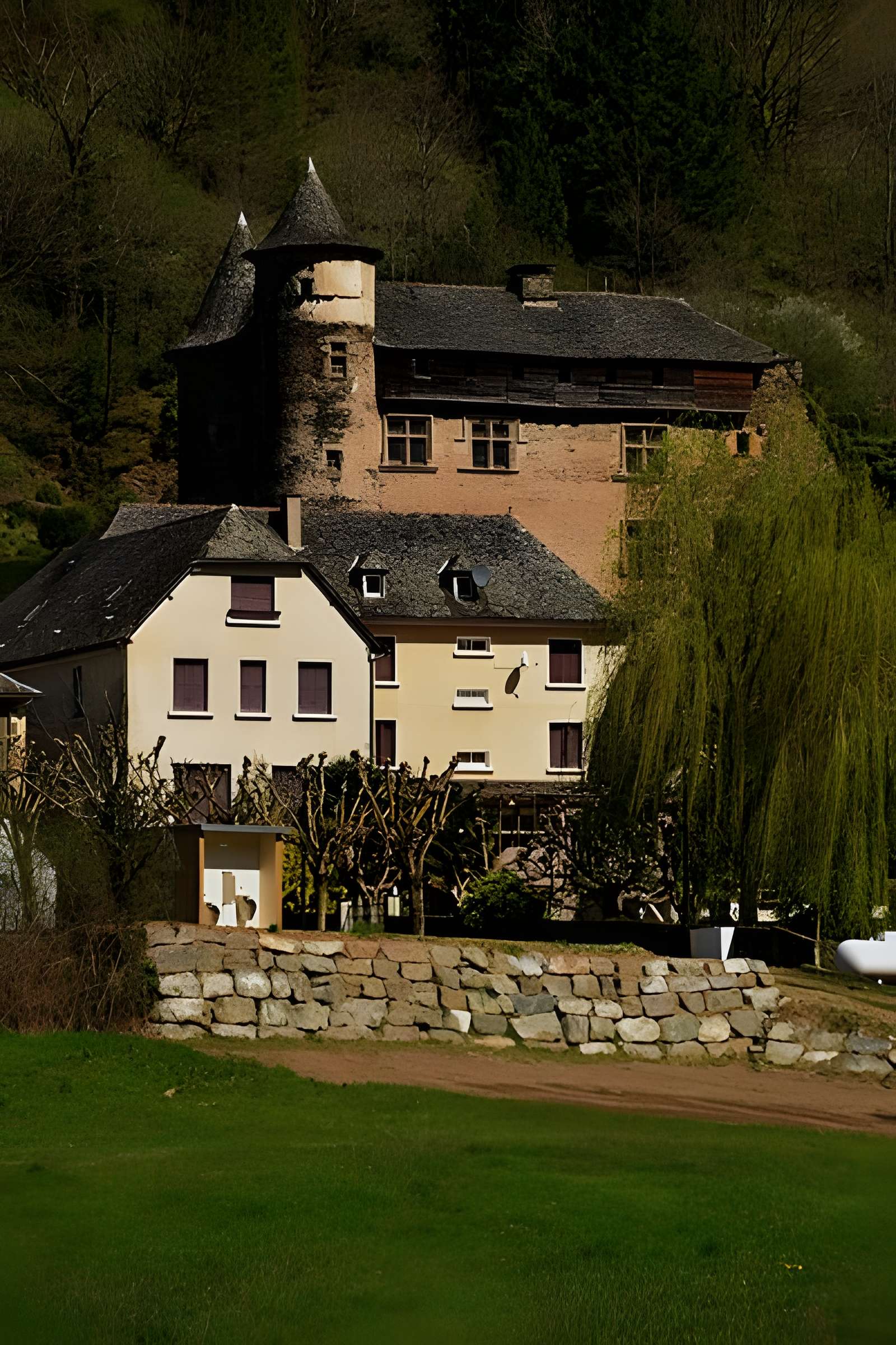 Château fort de Vieillevie
