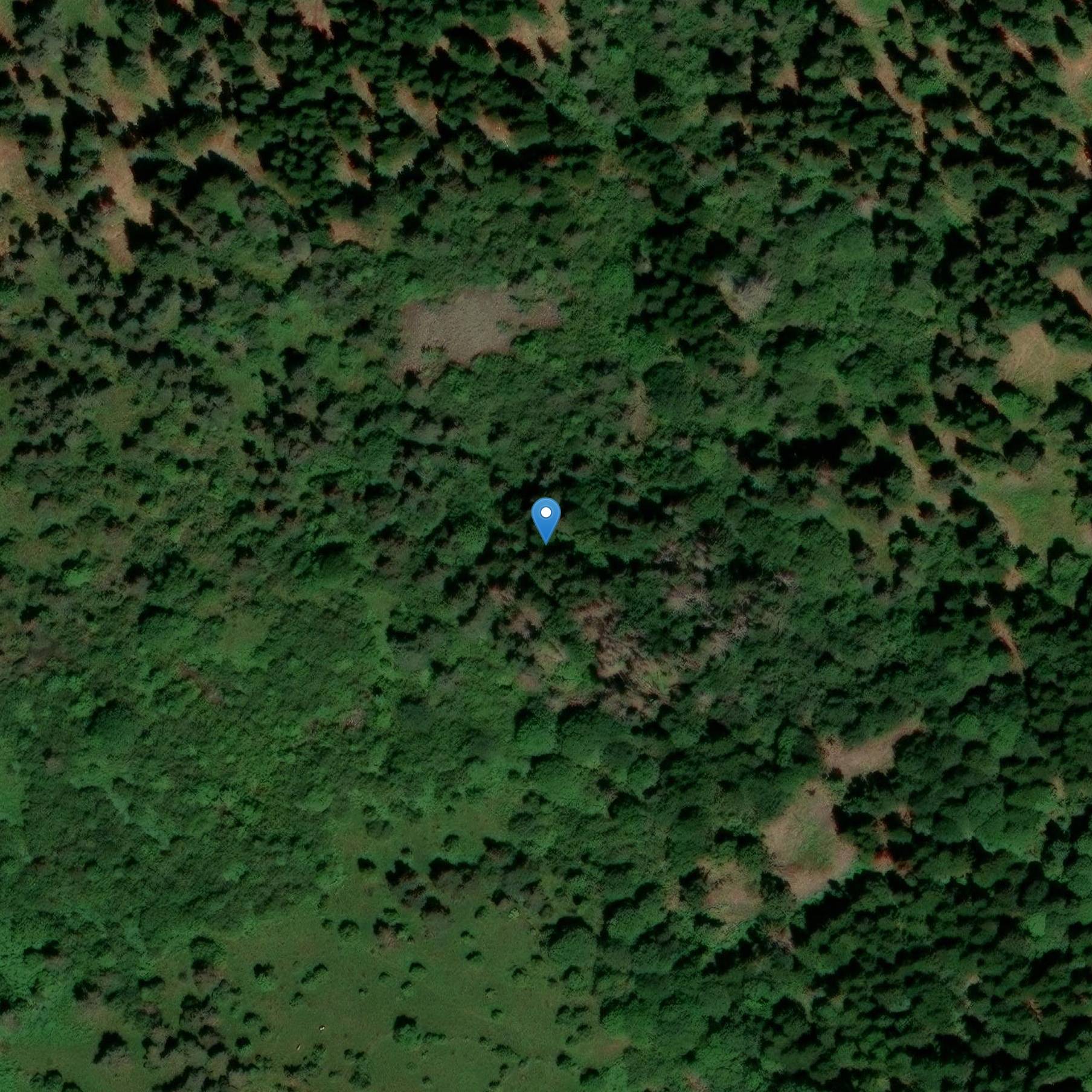 Photo de Remanentes de las casas prehistóricas del Fraux