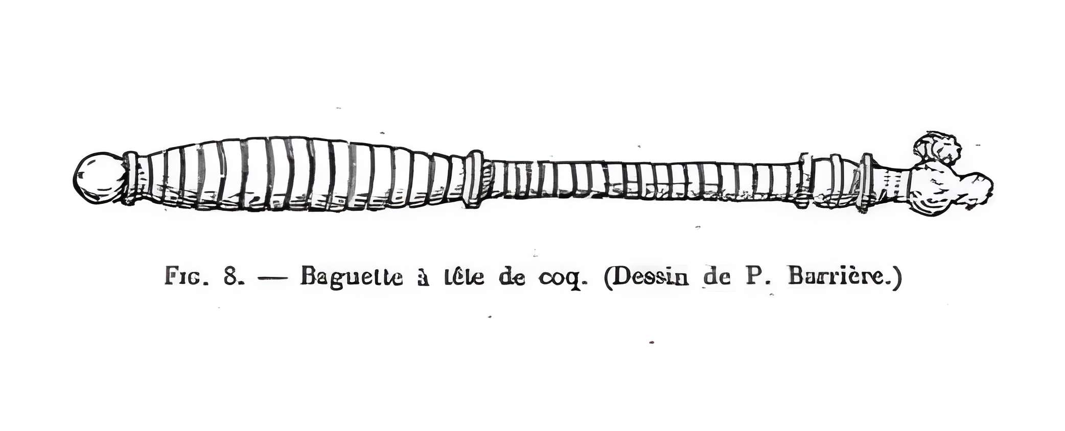 Restes d'un amphithéâtre