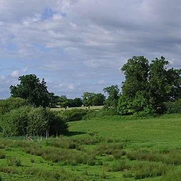 Vestiges de la villa gallo-romaine de Cassinomagus