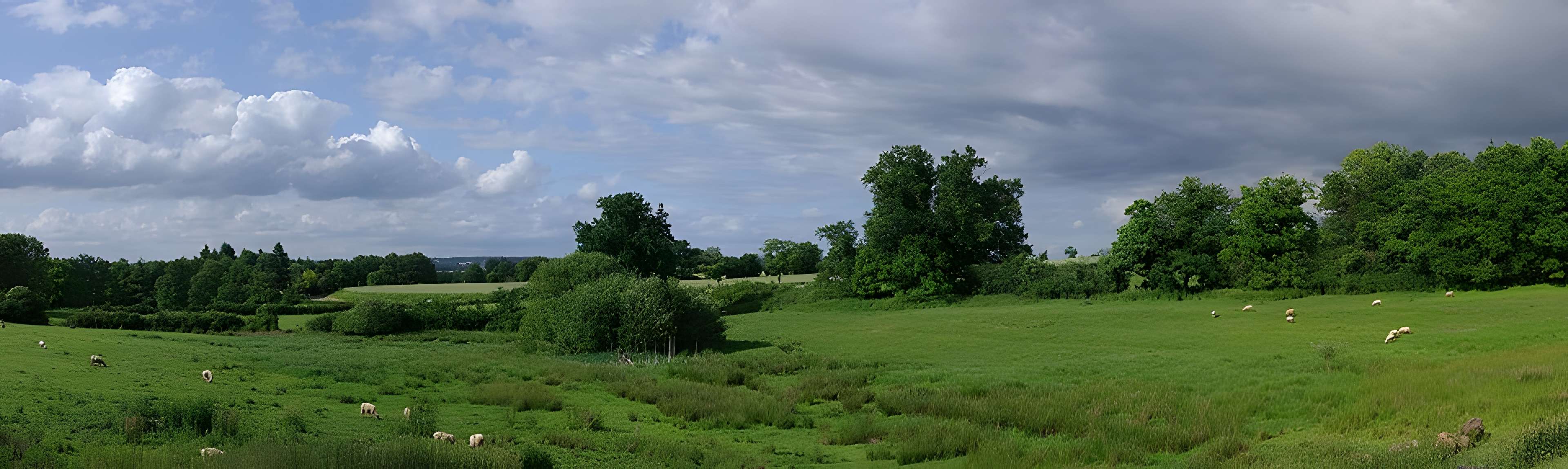 Vestiges de la villa gallo-romaine de Cassinomagus