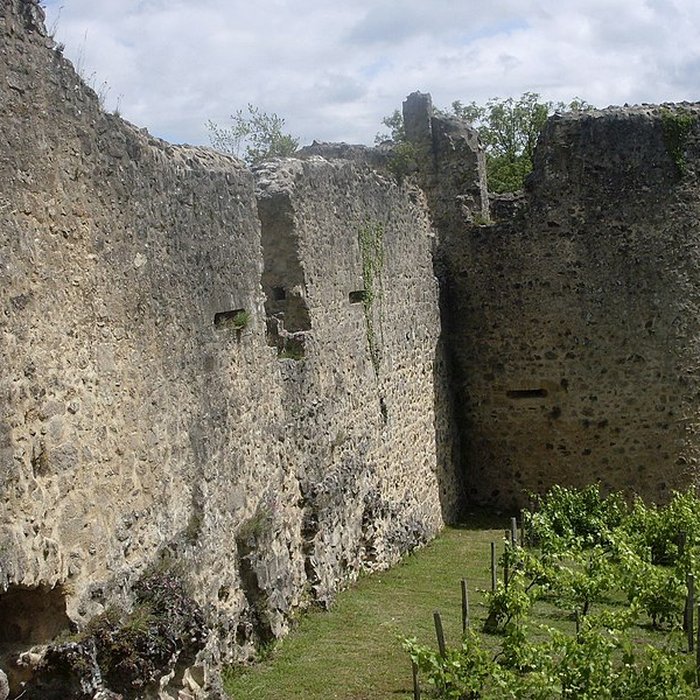 Photo de Ruines du château