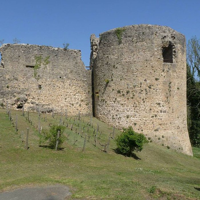 Photo de Ruines du château