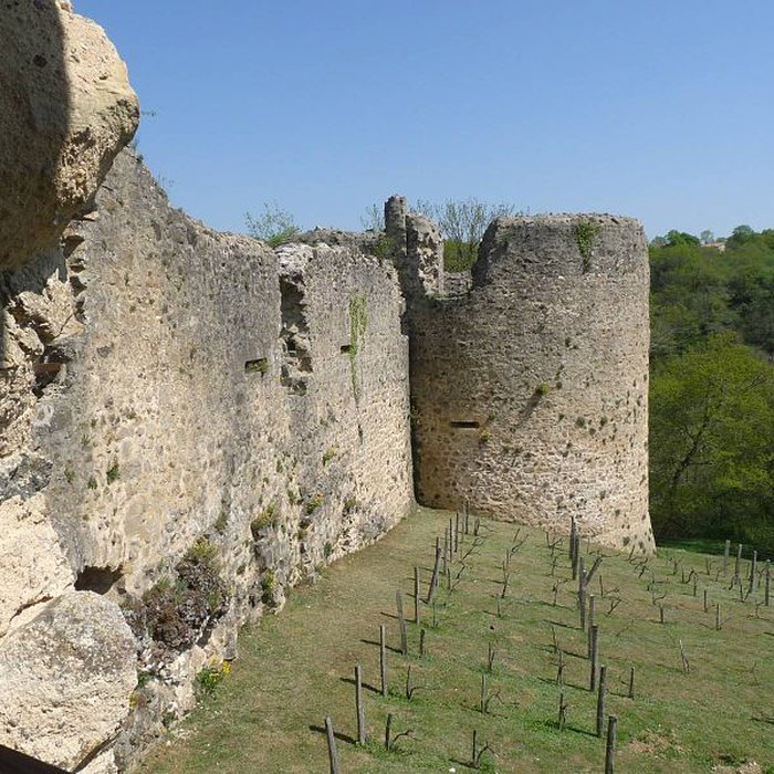 Photo de Ruines du château