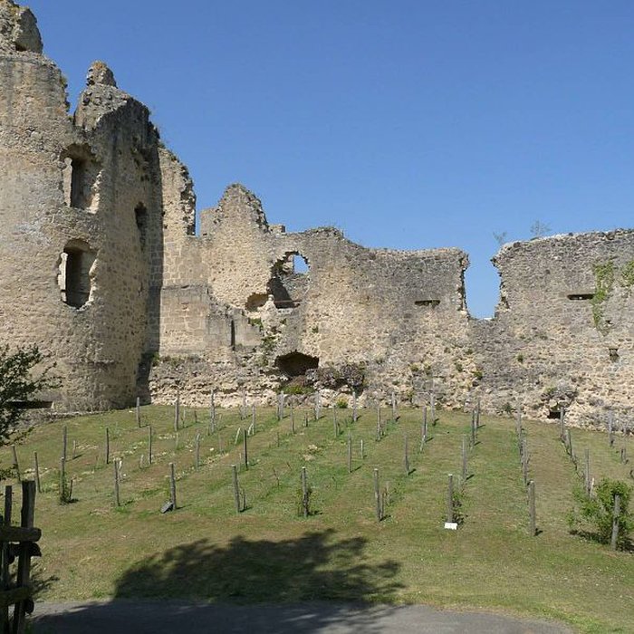 Photo de Ruines du château