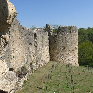 Ruines du château