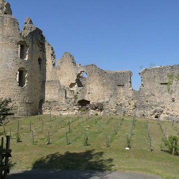 Ruines du château