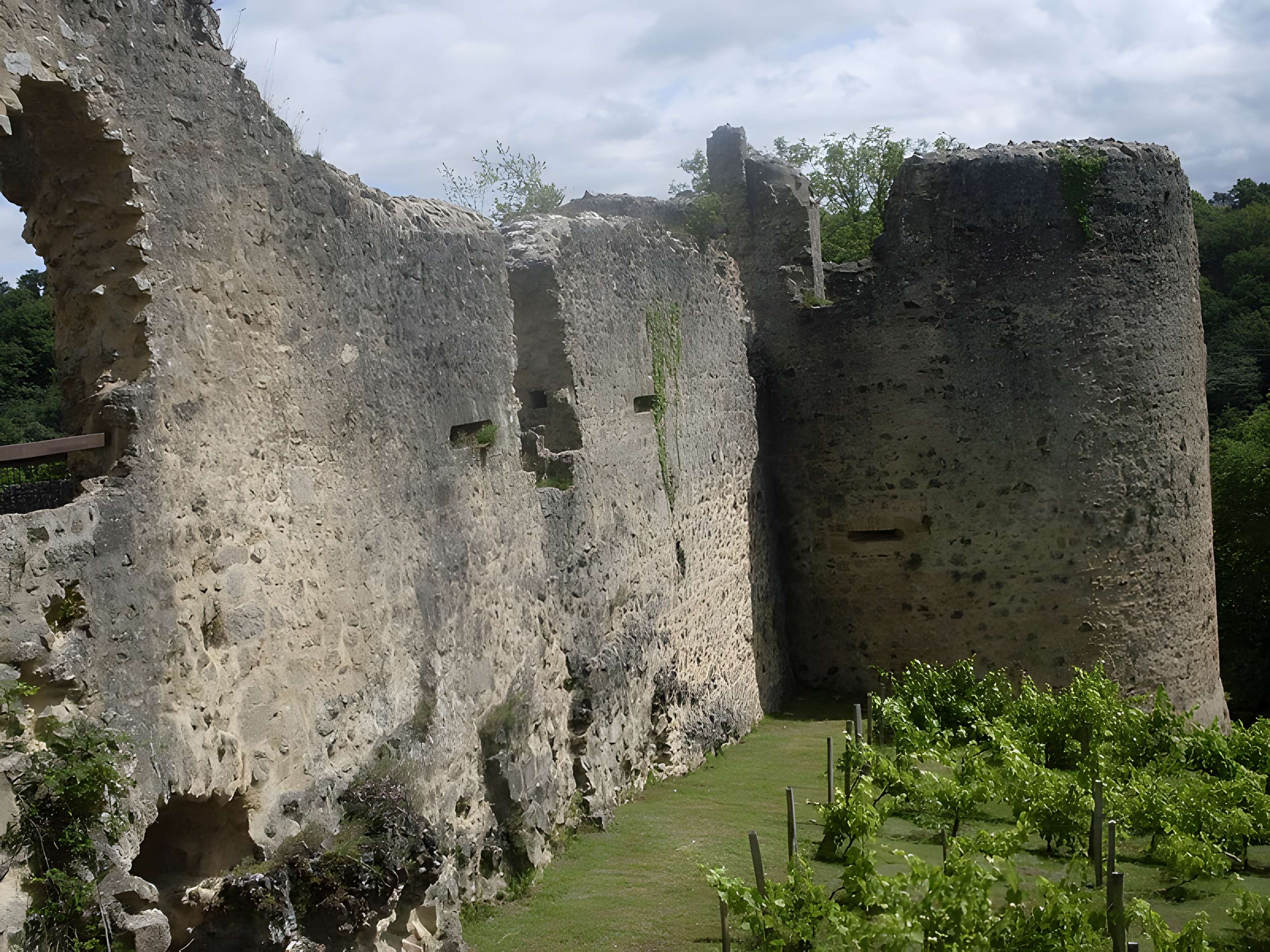 Ruines du château