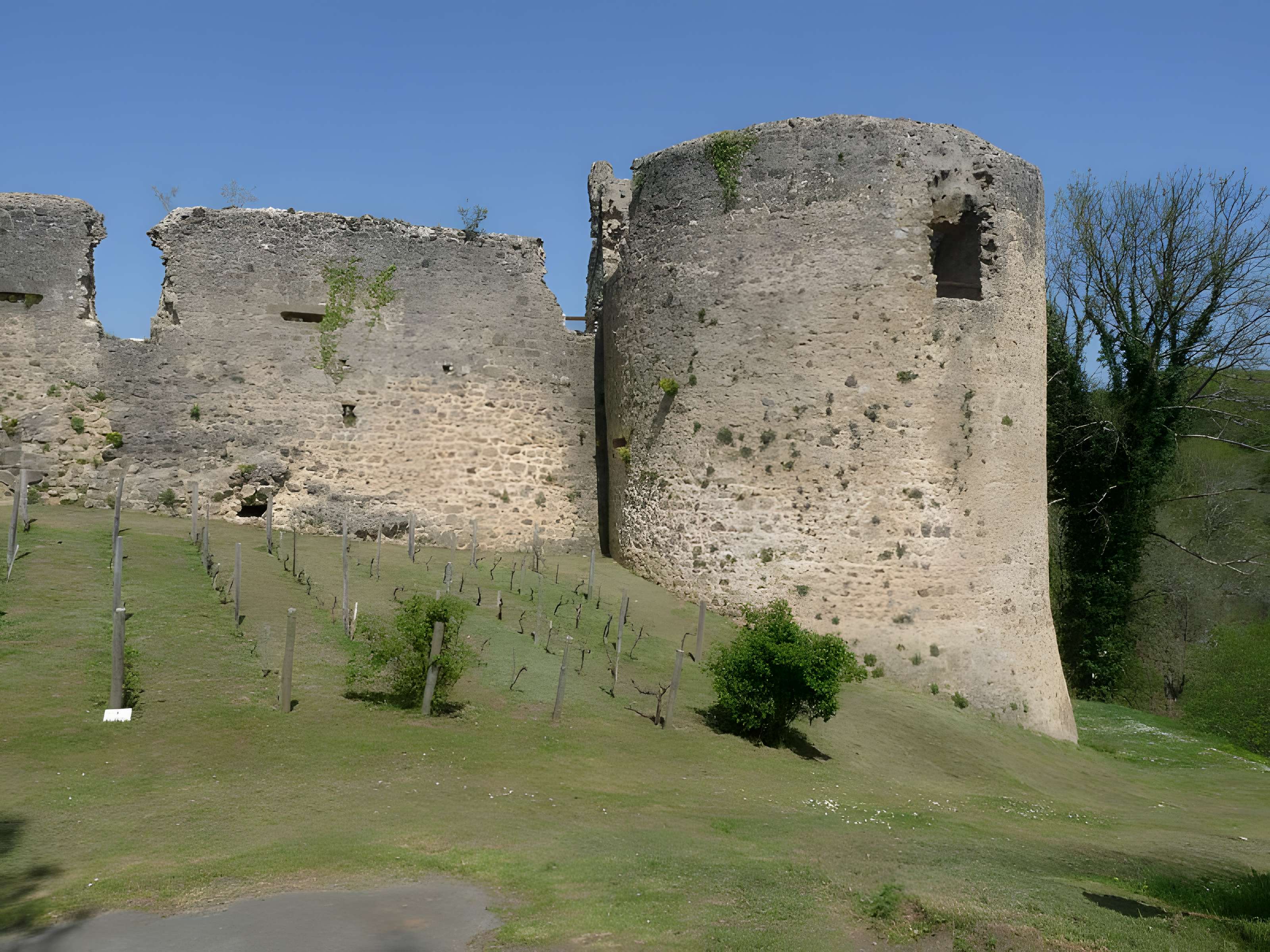 Ruines du château