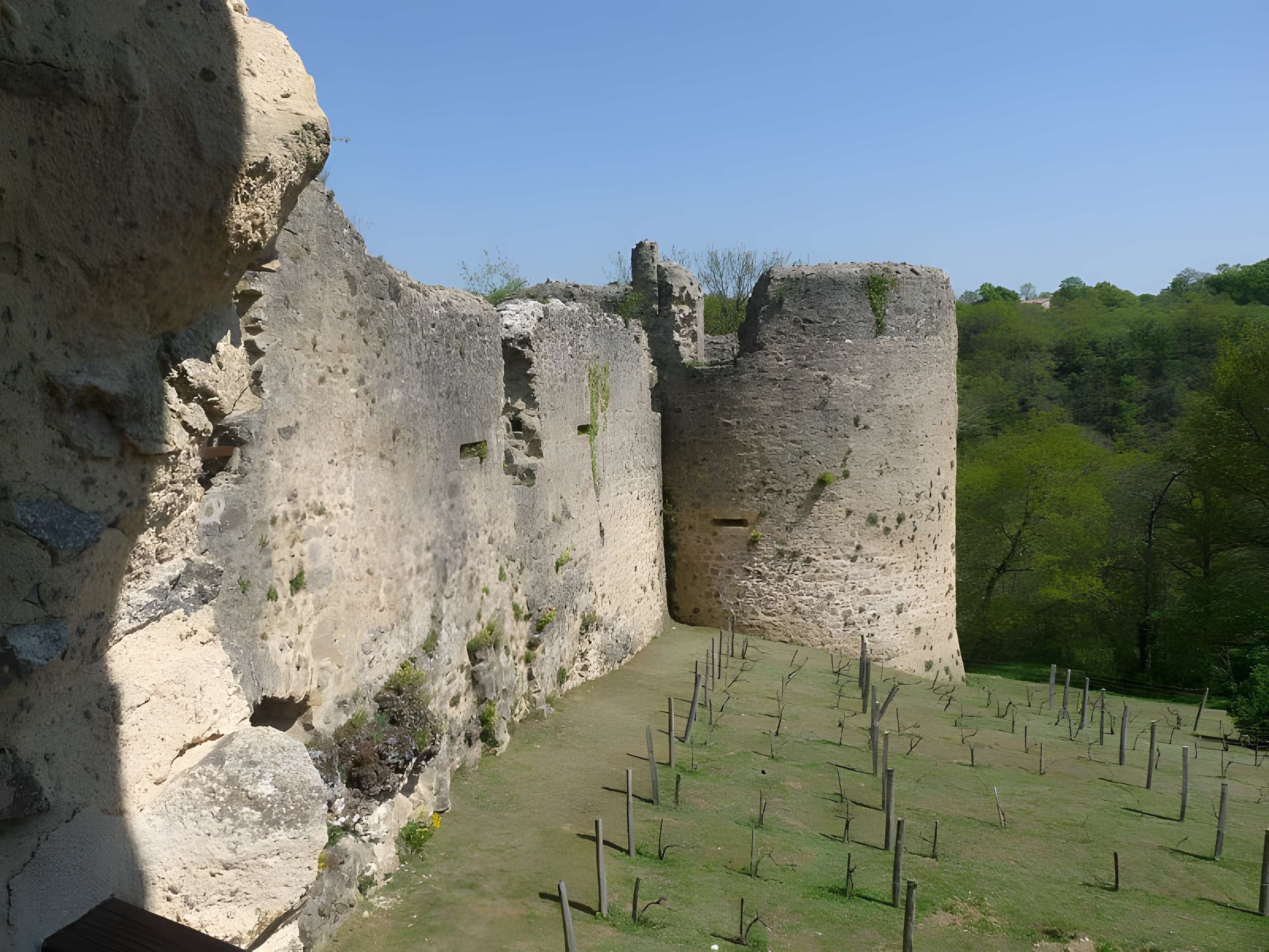 Ruines du château