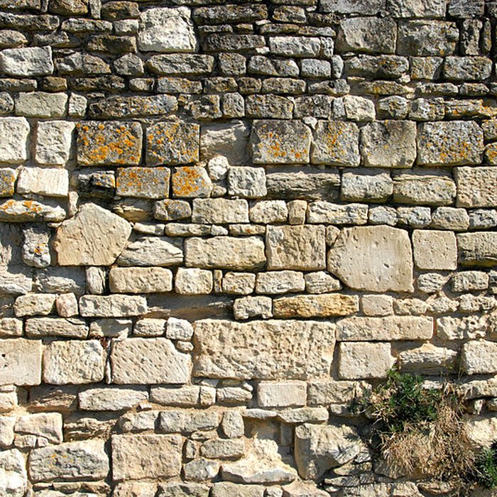 Photo de Cathédrale Saint-Pierre de Maillezais