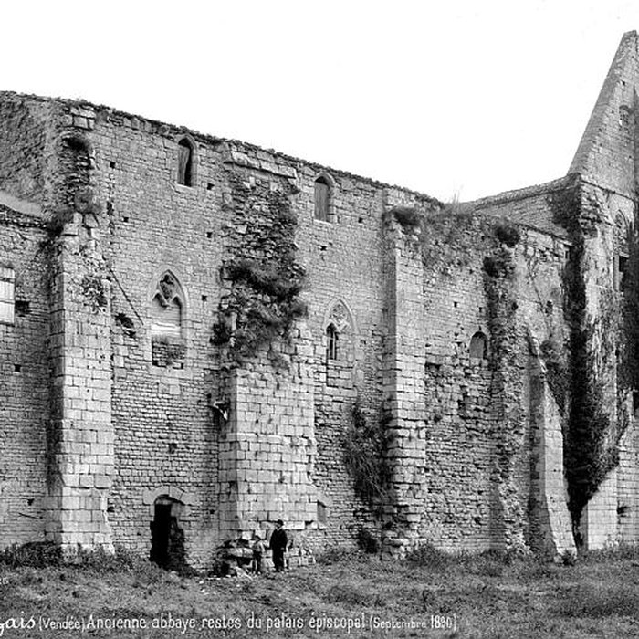 Photo de Cathédrale Saint-Pierre de Maillezais