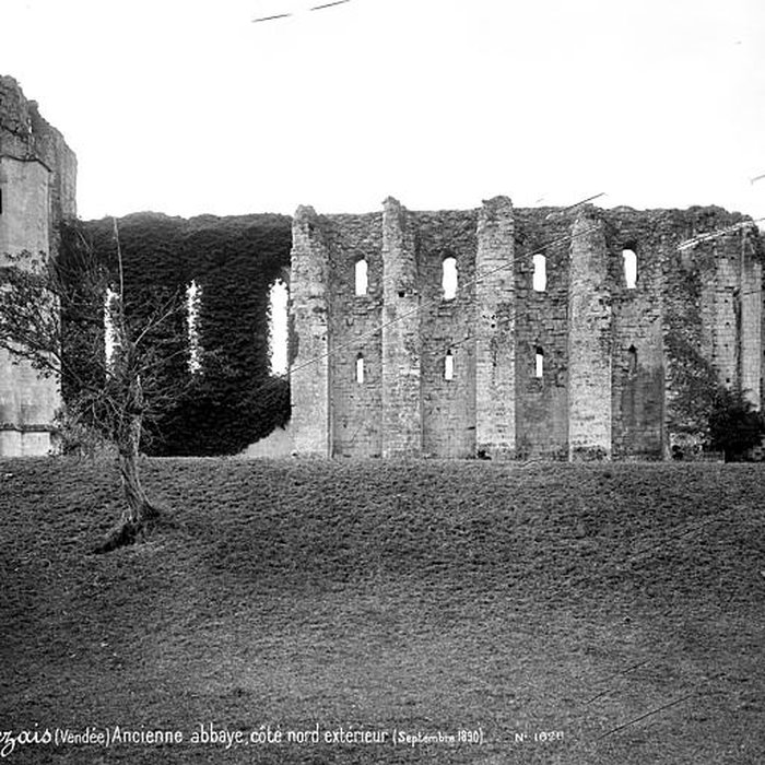 Photo de Cathédrale Saint-Pierre de Maillezais