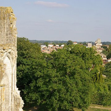 Cathédrale Saint-Pierre de Maillezais