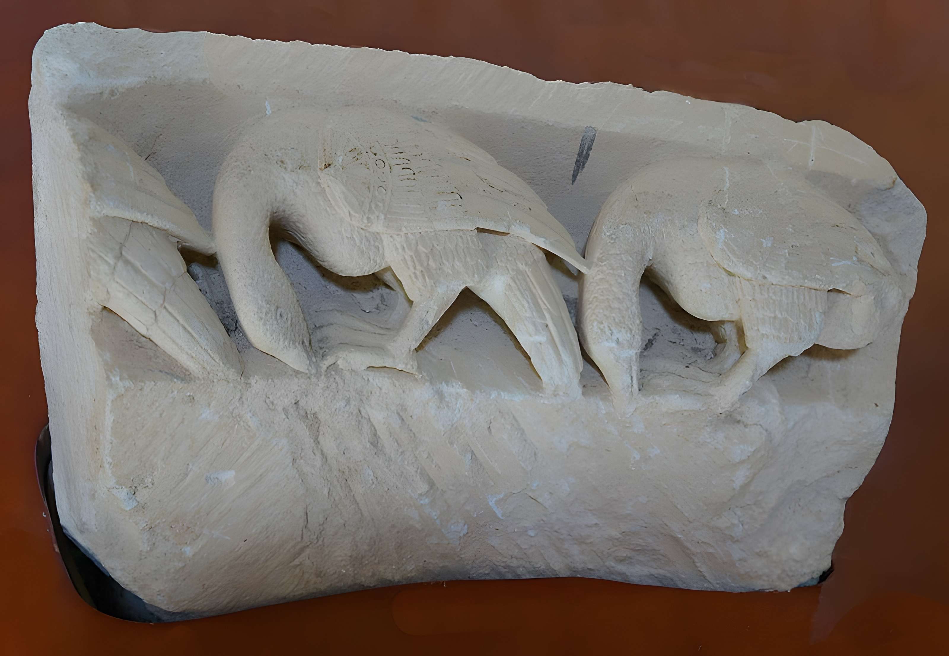 Cathédrale Saint-Pierre de Maillezais