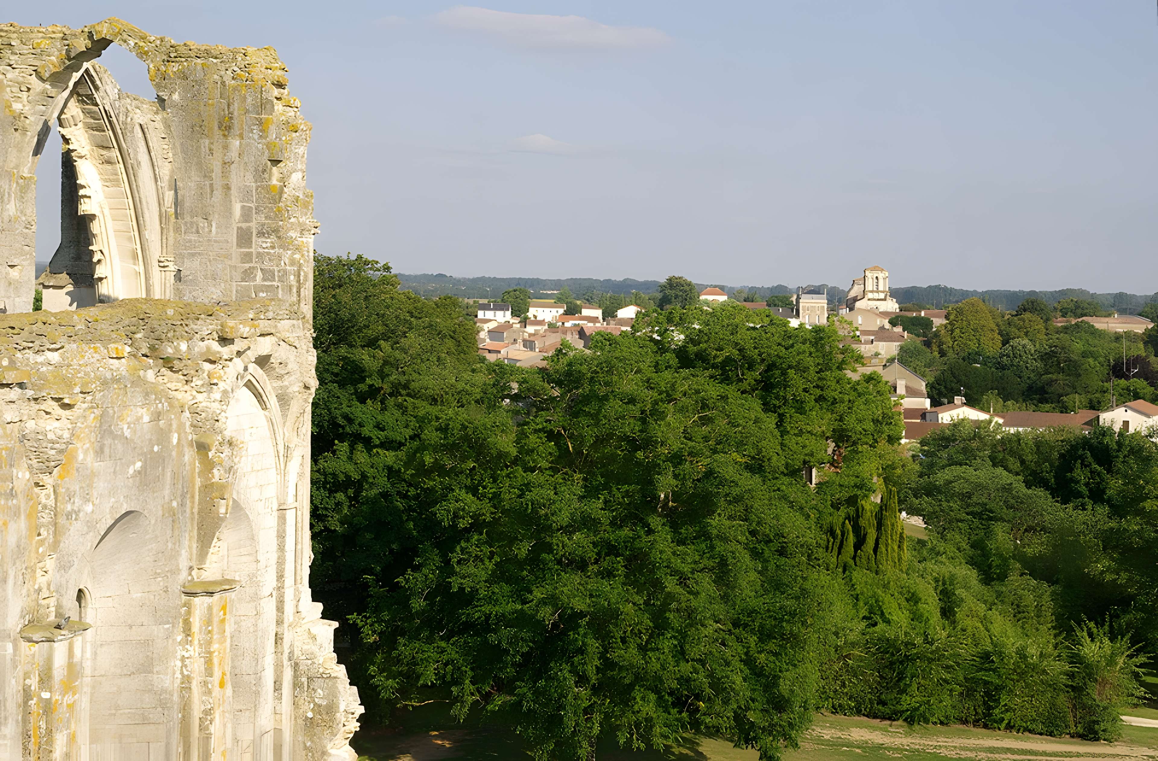 Cathédrale Saint-Pierre de Maillezais
