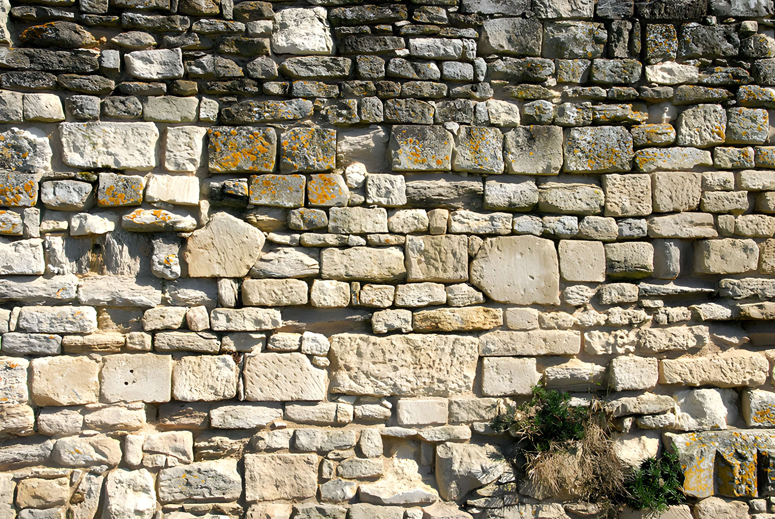 Cathédrale Saint-Pierre de Maillezais