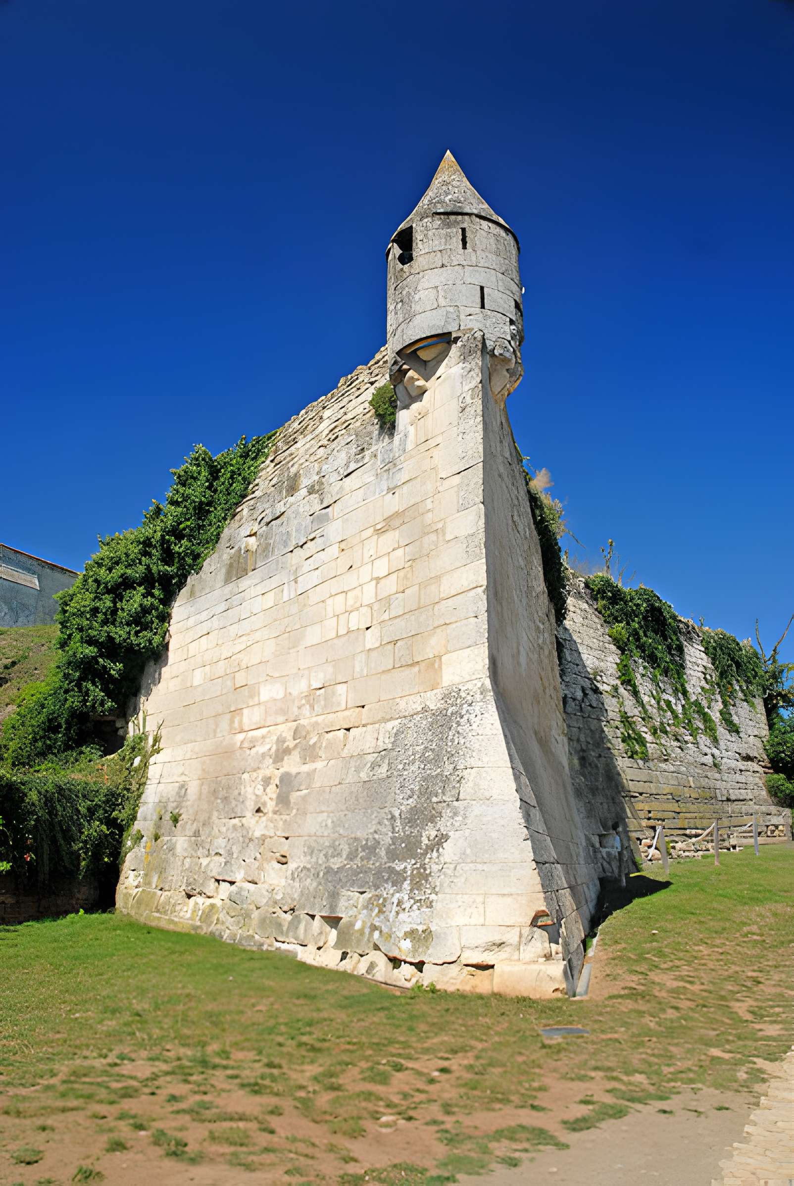 Cathédrale Saint-Pierre de Maillezais