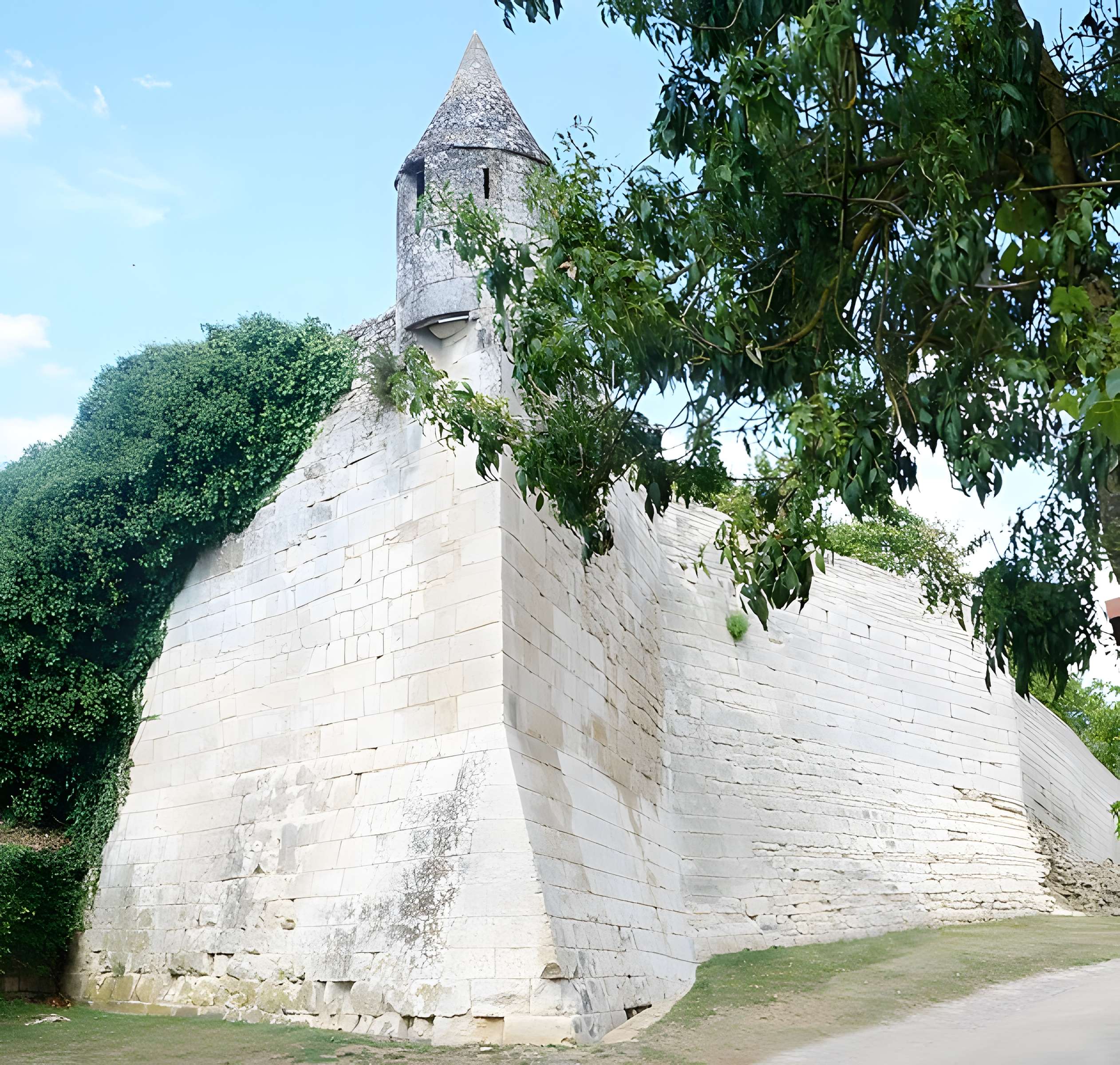 Cathédrale Saint-Pierre de Maillezais
