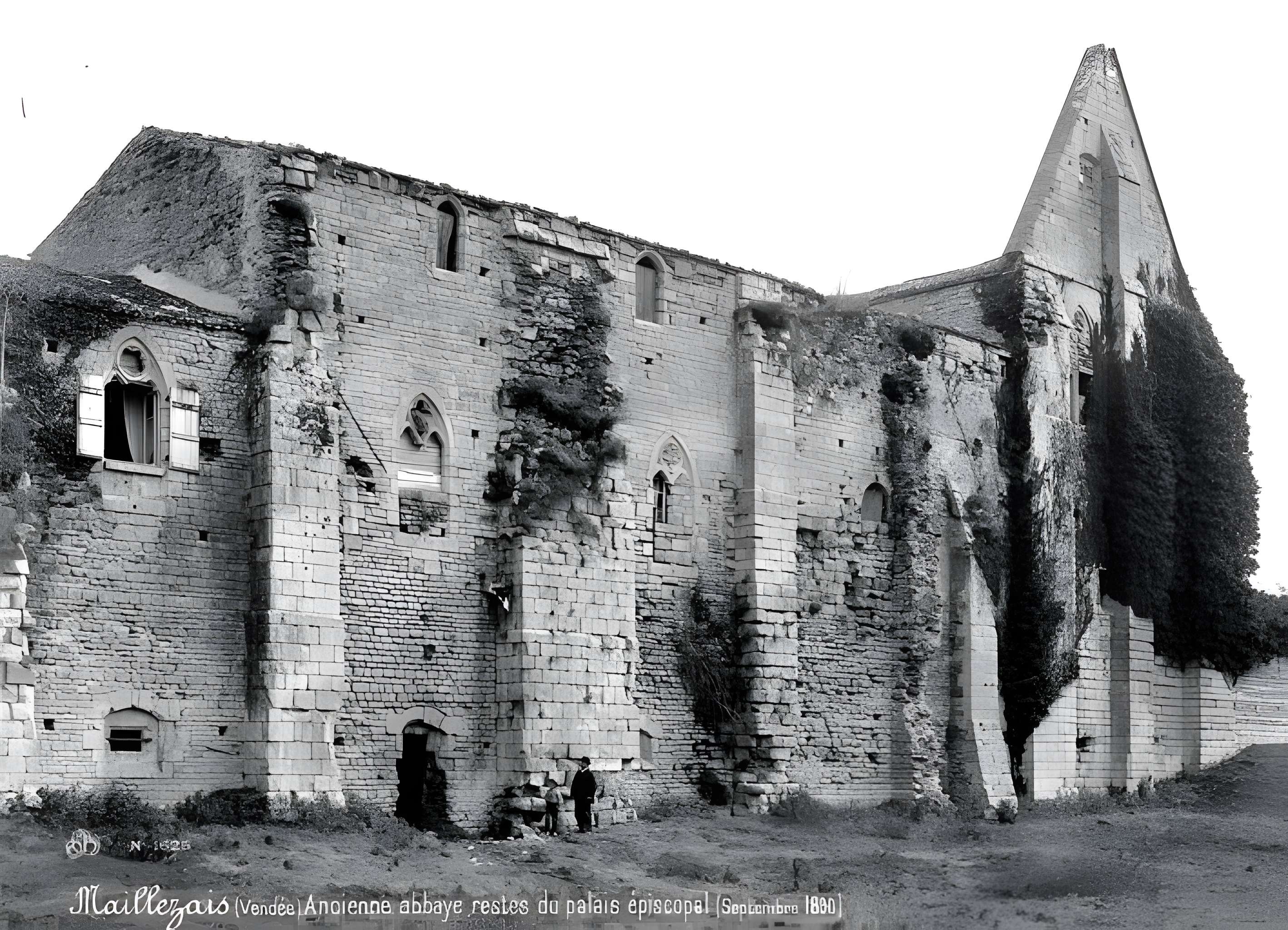 Cathédrale Saint-Pierre de Maillezais