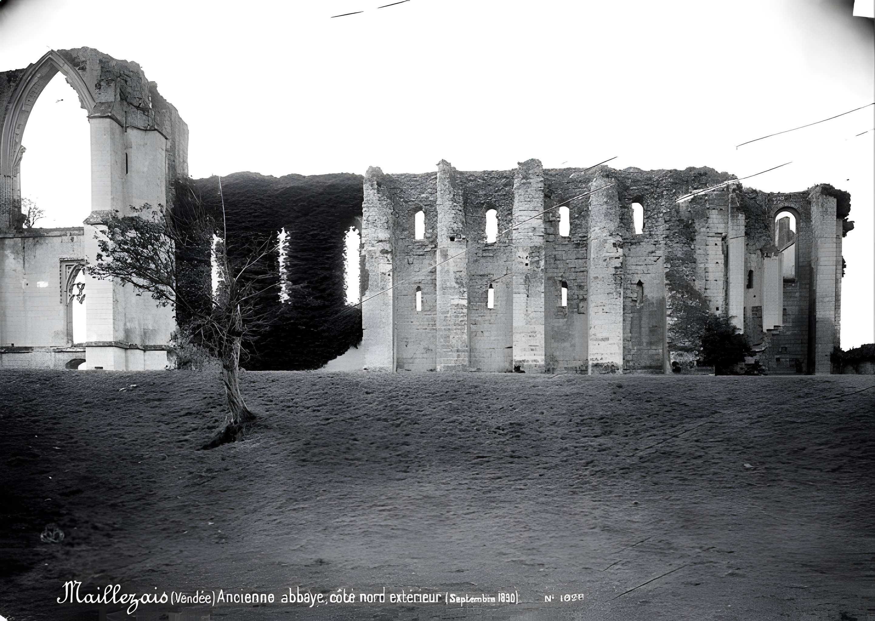 Cathédrale Saint-Pierre de Maillezais