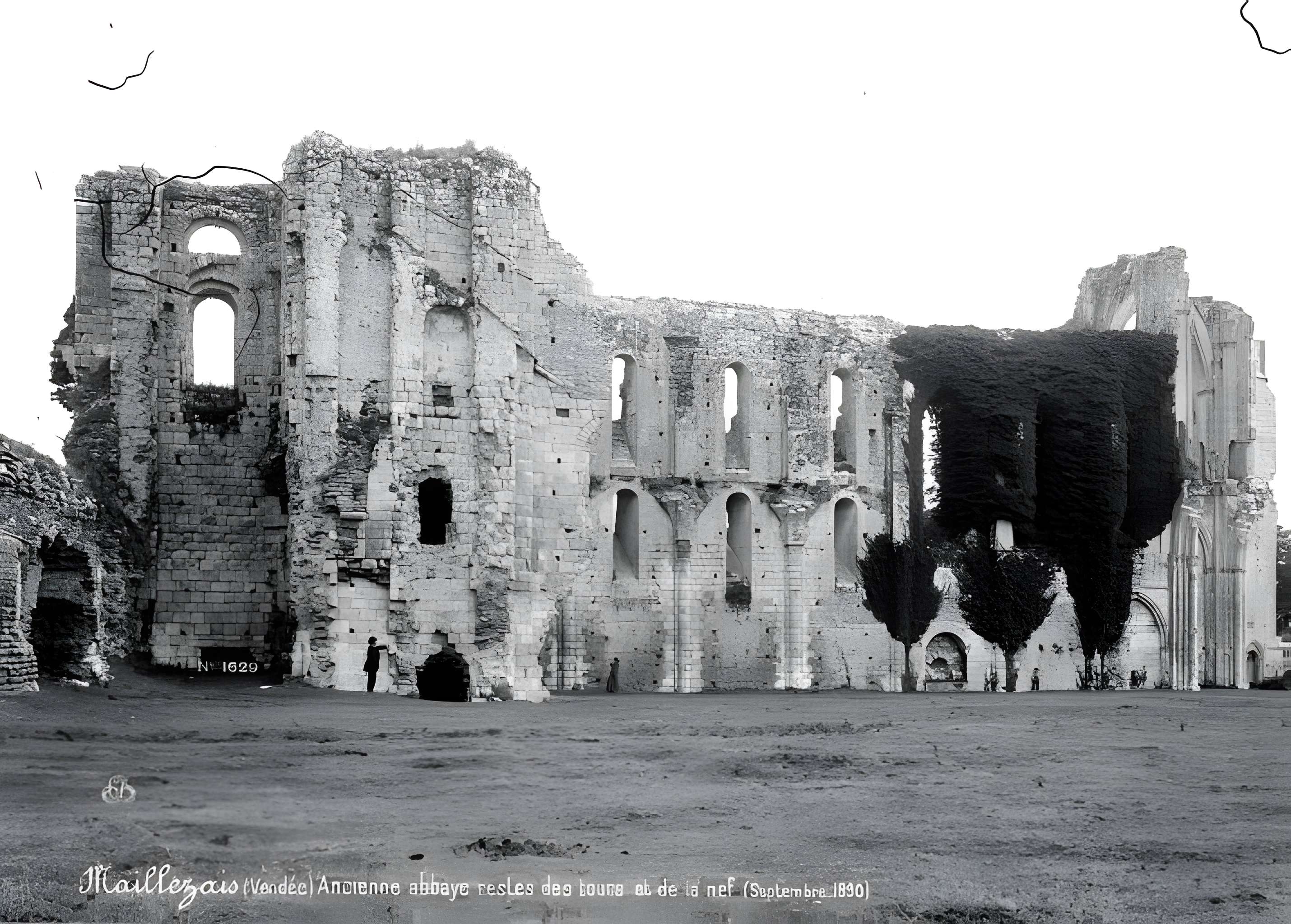 Cathédrale Saint-Pierre de Maillezais