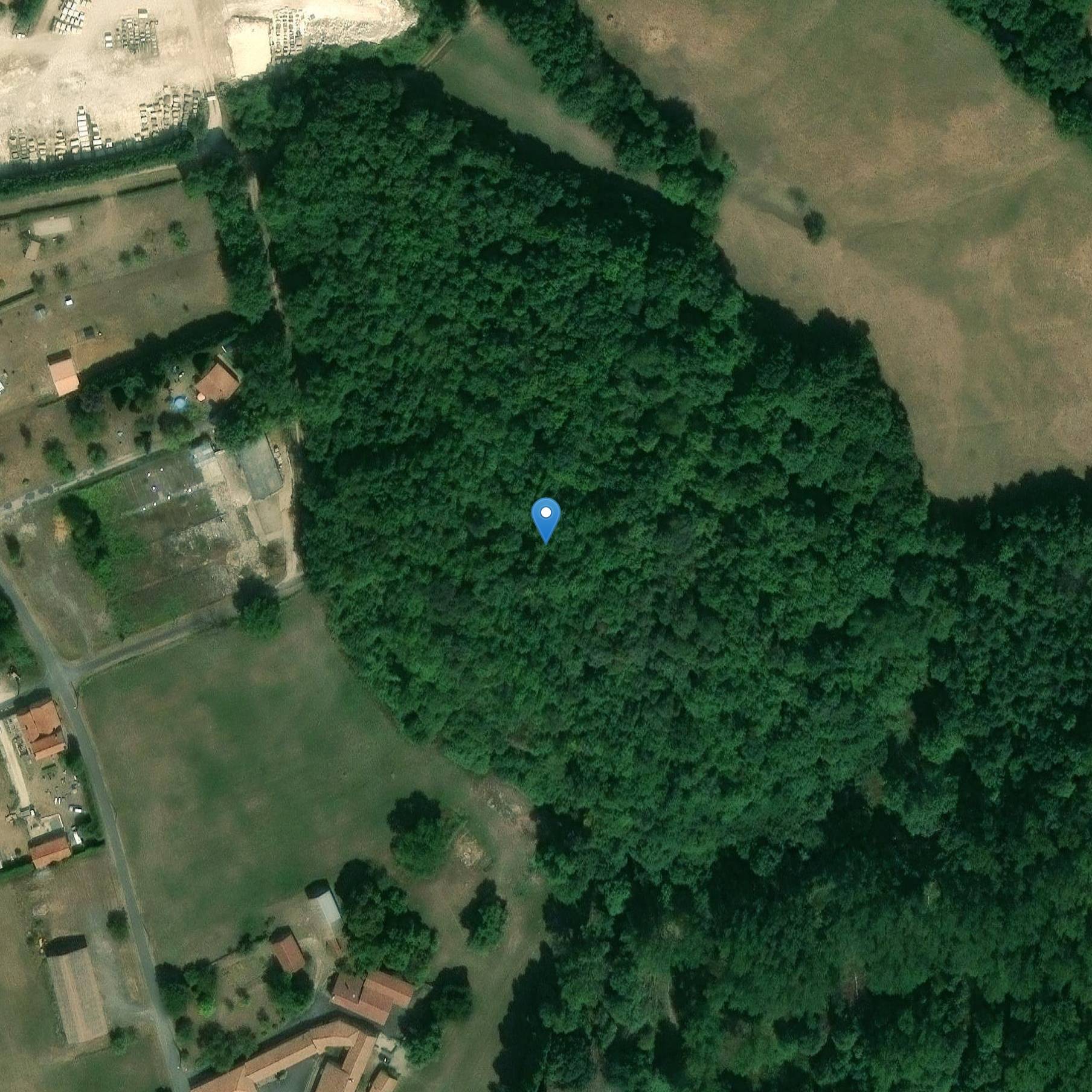 Photo de Grotta di faccia