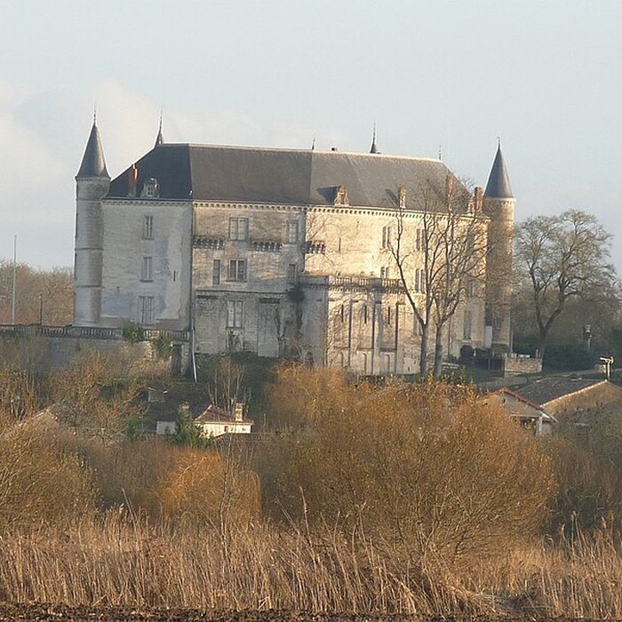 Photo de Château de la Rochandry