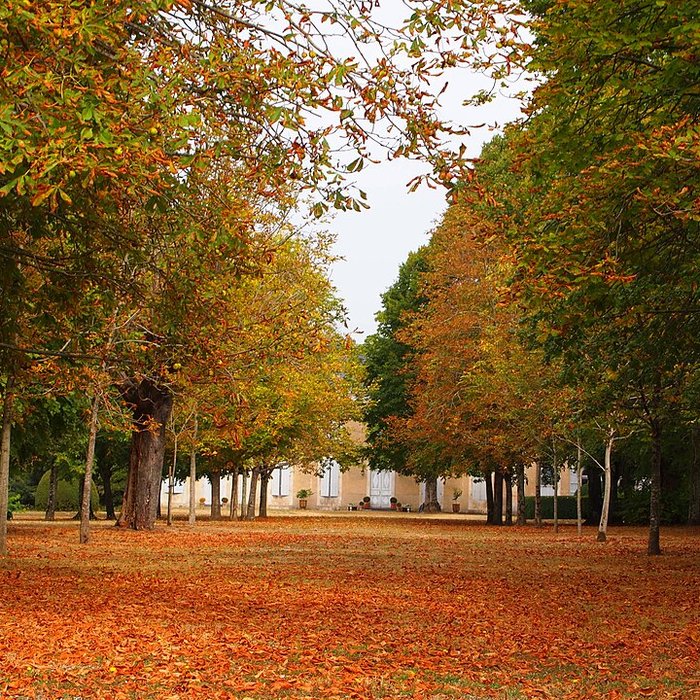 Photo de Manoir de Ribérolles