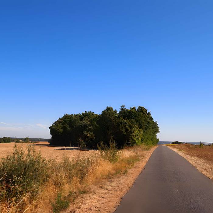 Photo de Tumulus dit Le Gros Dognon