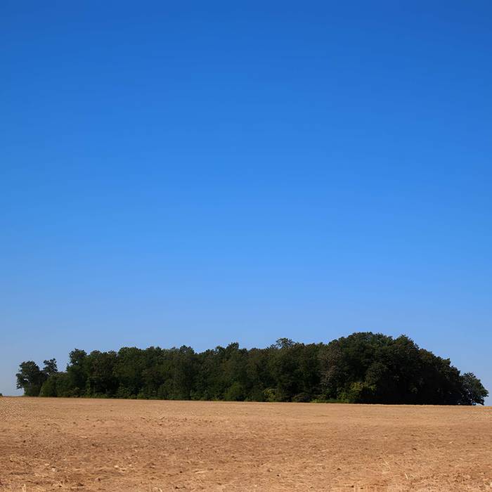 Photo de Tumulus dit Le Gros Dognon