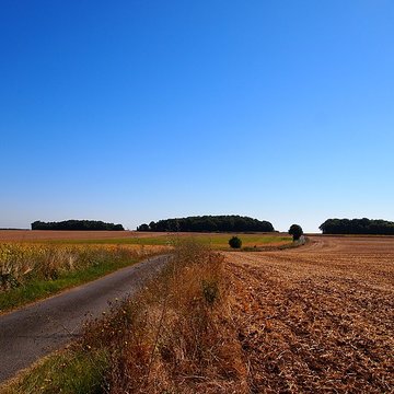 Tumulus dit Le Gros Dognon