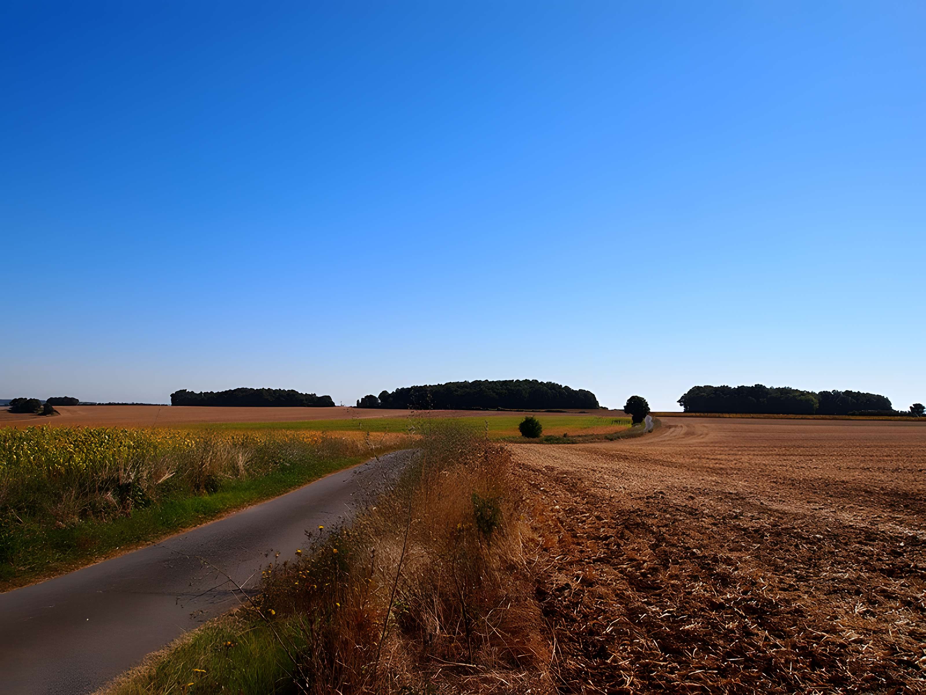 Tumulus dit Le Gros Dognon