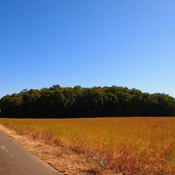 Tumulus Le Petit Dognon