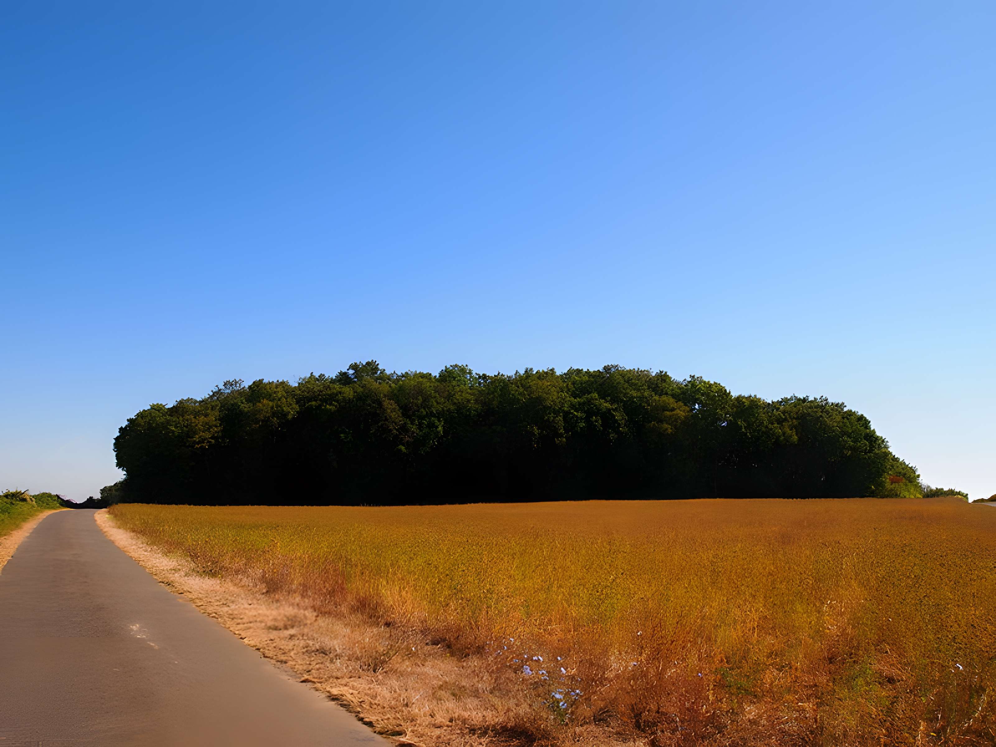Tumulus Le Petit Dognon