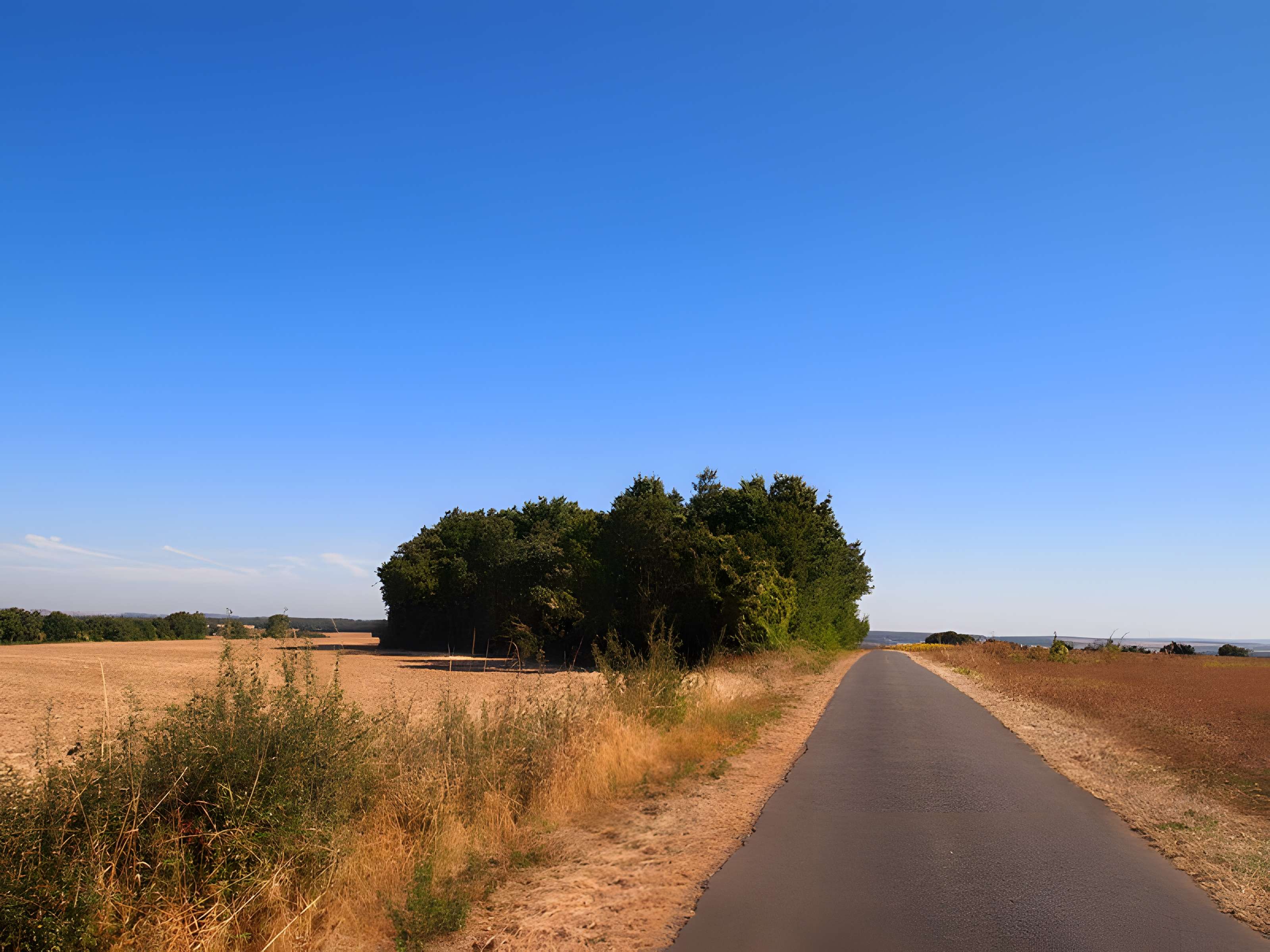 Tumulus Le Petit Dognon
